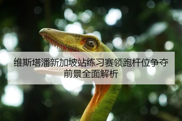维斯塔潘新加坡站练习赛领跑杆位争夺前景全面解析
